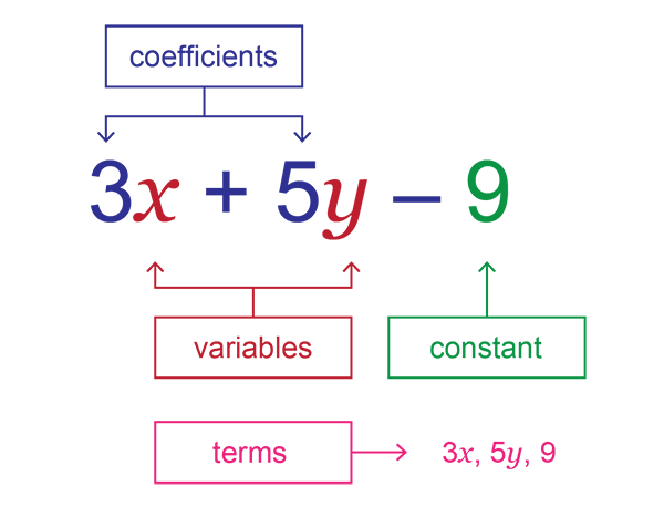 10.1 Algebraic expressions and terms | Simplification of algebraic expressions | Siyavula